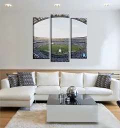 Cuadros Tripticos Irregulares Racing Club en internet