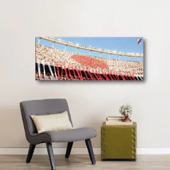 Cuadros Panoramicos River Plate en internet
