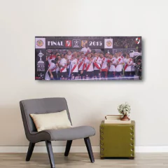 Imagen de Cuadros Panoramicos River Plate
