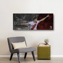 Cuadros Panoramicos River Plate