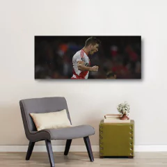 Imagen de Cuadros Panoramicos River Plate