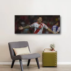 Cuadros Panoramicos River Plate en internet