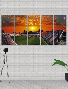 Cuadro poliptico regular Estudiantes de la Plata foto #73