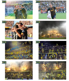 Cuadros Panorámicos Rosario Central - Mikiu Design