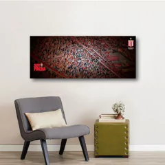 Cuadros Panorámicos Estudiantes de La Plata - tienda online