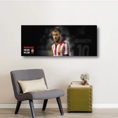 Cuadros Panorámicos Estudiantes de La Plata - comprar online