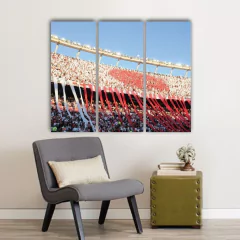 Cuadro Triptico River Plate - tienda online