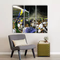 Imagen de Cuadros Trípticos Boca Juniors