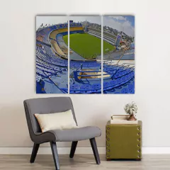 Cuadros Trípticos Boca Juniors