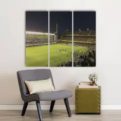 Cuadros Trípticos Boca Juniors - Mikiu Design