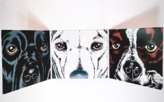 Cd Oro - Que Así Sea - comprar online