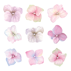 Adesivo de Parede Infantil Flores Aquarela Quarto Menina - 284ir - comprar online