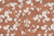 Blossom - tienda online