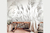 Gramineas - comprar online