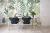 Ibera blanco - comprar online