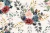 Decolookbook en internet