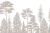 Seattle vison positivo - tienda online