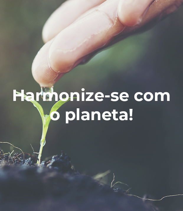 Banner de Customize Soluções Personalizáveis