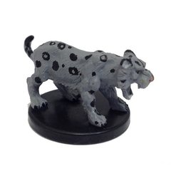 Snow Leopard