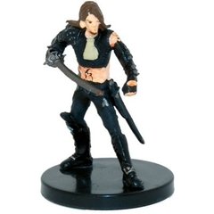 Shadow Rogue