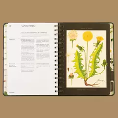 Agenda 2026 Compañia Botánica - Bitácora Botánica (Semanal) en internet