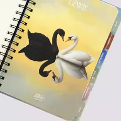 Imagen de Agenda 2026 Bruja Moderna - Astros (Semanal)