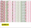 GARD31