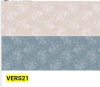VERS21