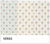 VERS2
