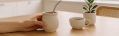 Banner de la categoría NOVEDADES
