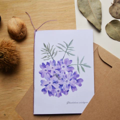 Cuadro postal Glandularia aristigera - comprar online