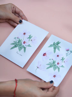 Postal Botánica Pavonia Hastata - comprar online