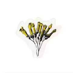 Calco vinilo - Nicotiana glauca - Palán palán