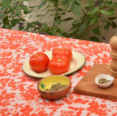 MANTEL GLANDULARIA CUADRADO - ROSA Y NARANJA - comprar online