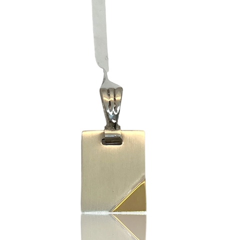 Medalla de plata y Oro. -