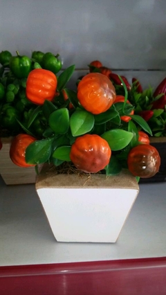 Arranjo fruta e pimenta na internet