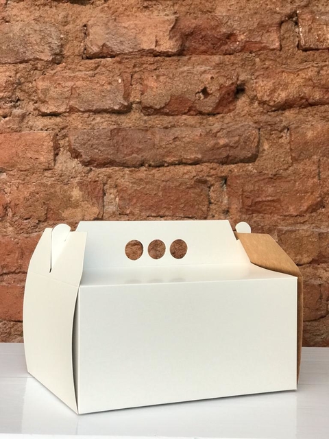 Caja de Facturas con Manija 23x18x11cm