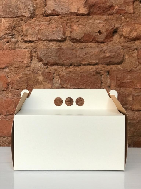Caja de Facturas con Manija 23x18x11cm en internet