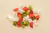 Kit de pastas - comprar online