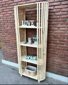 Biblioteca Capsula en internet