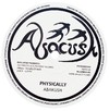 12" Abakush - Cush/Physically [NM] - comprar online