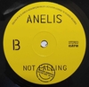 7" Anelis Assumpcao/Victor Rice - Not Falling/Not Falling Dub [NM] - comprar online