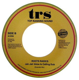 7" Peter Broggs - Jah Jah Voice Is Calling/Dub [NM] - comprar online