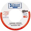 7" Sylford Walker - Burn Babylon/Burning Version [NM] - comprar online