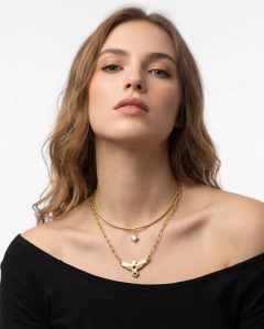 Collar WILD en internet