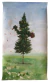 After - Manuel Coll - comprar online