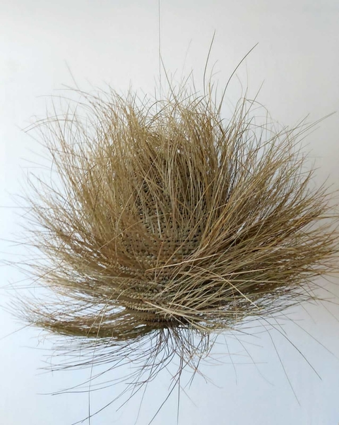 La colmena - Claudia Santanera