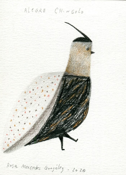 Alegre chingolo - Rosa Mercedes Gonzalez