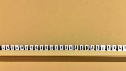 Colección - Manuel Coll