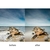 Imagen de Filtro De Densidad Neutra Nd 3.0 10 Pasos 58Mm Axent Tiffen Usa
